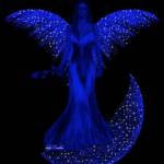 Vladimir Profile Picture