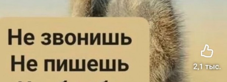 Сибур Cover Image